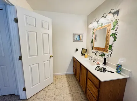 358 Birch Grove Arlington VT 05250