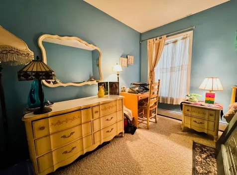 358 Birch Grove Arlington VT 05250