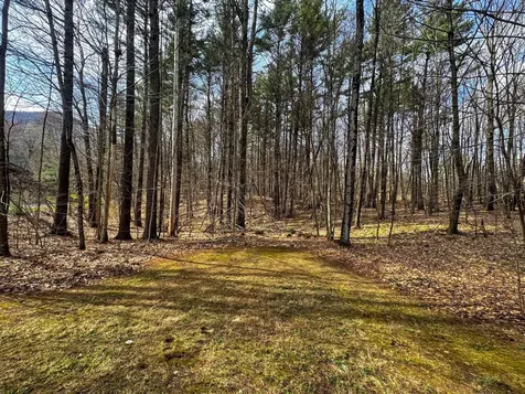 358 Birch Grove Arlington VT 05250