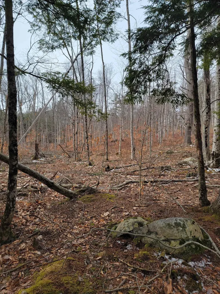 80 Crossover Road Bennington VT 05201