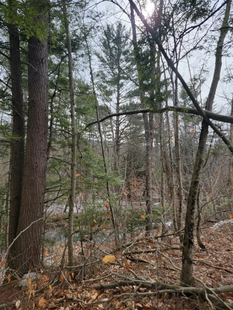 80 Crossover Road Bennington VT 05201