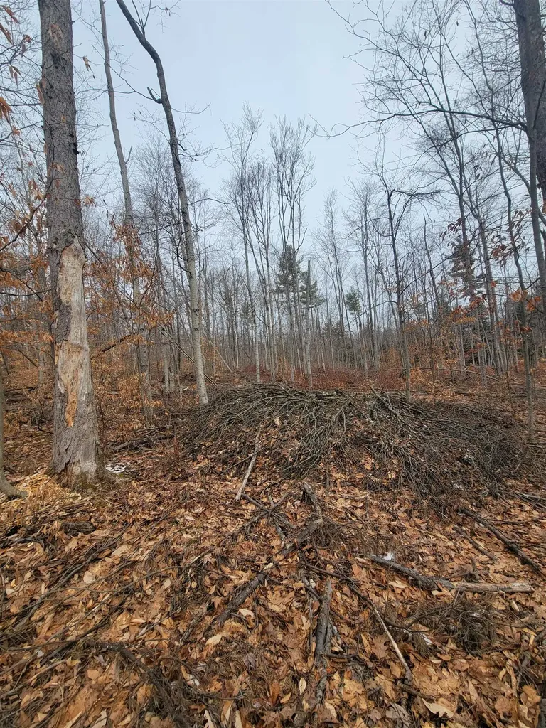 80 Crossover Road Bennington VT 05201