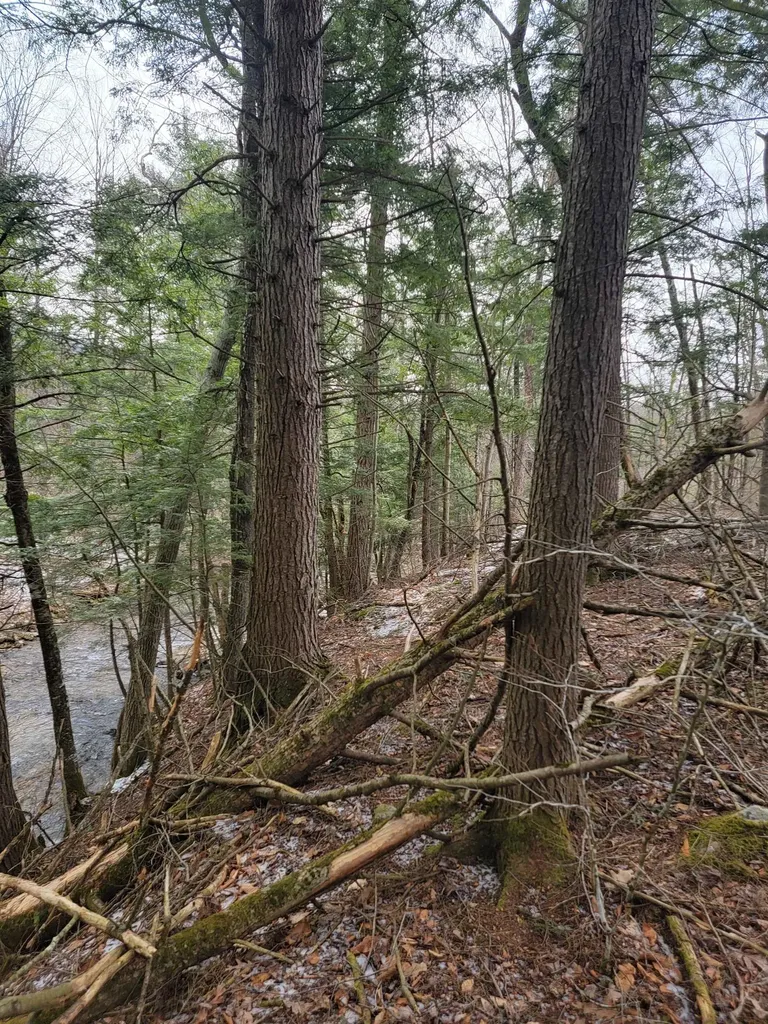 80 Crossover Road Bennington VT 05201