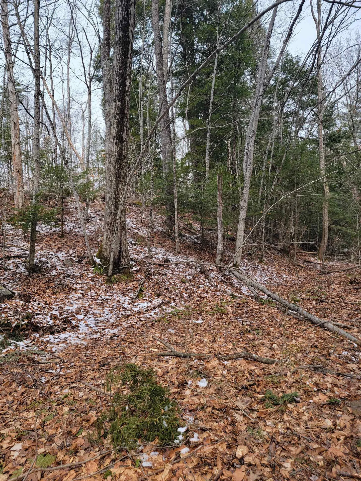 80 Crossover Road Bennington VT 05201