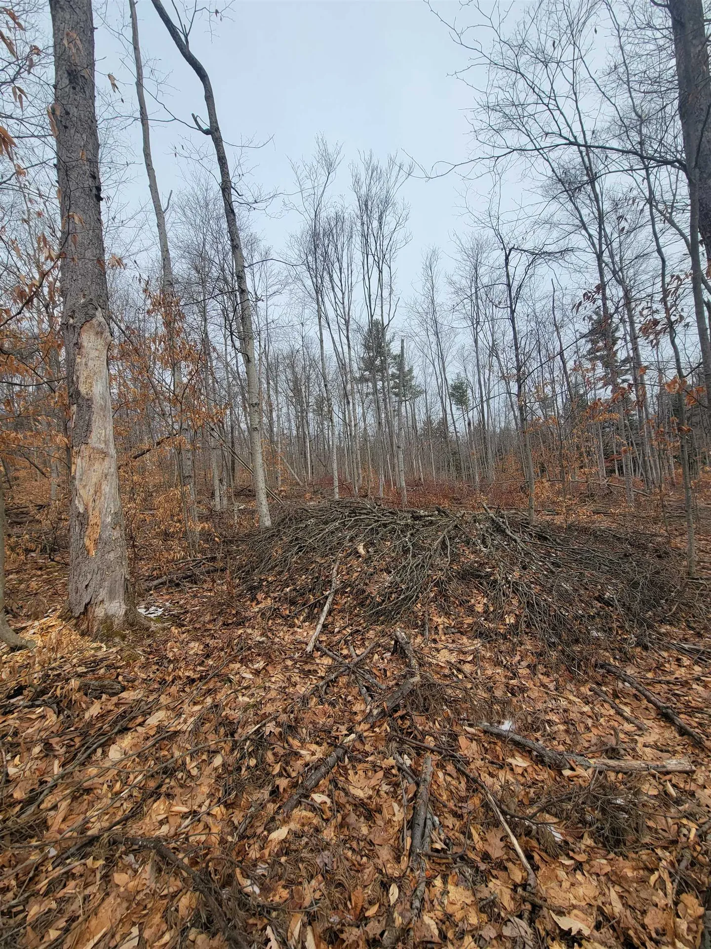 80 Crossover Road Bennington VT 05201