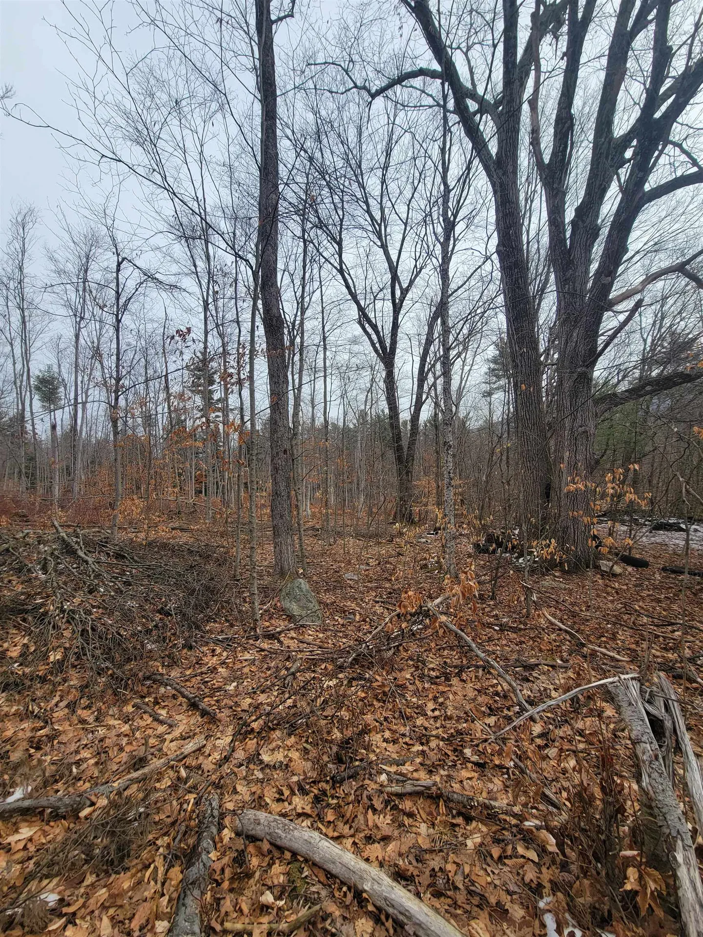 80 Crossover Road Bennington VT 05201