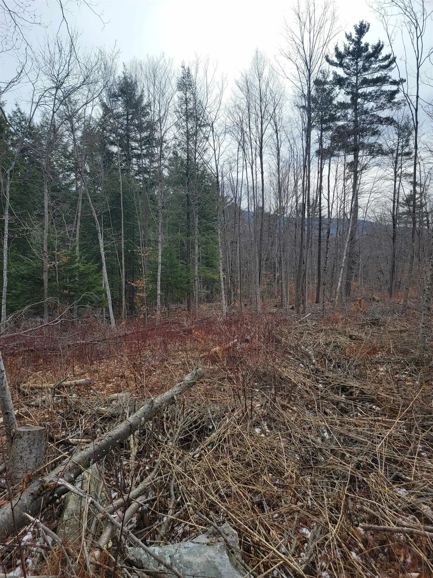 80 Crossover Road Bennington VT 05201