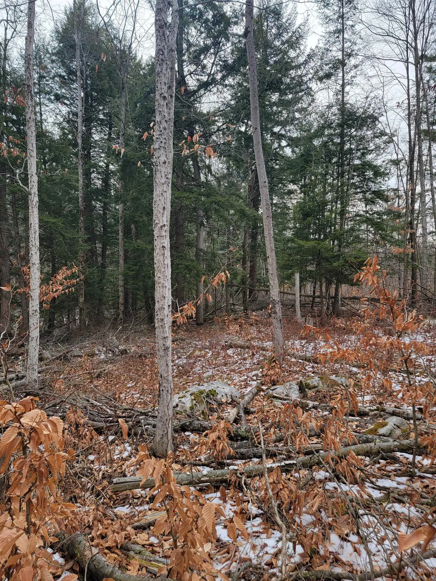 80 Crossover Road Bennington VT 05201