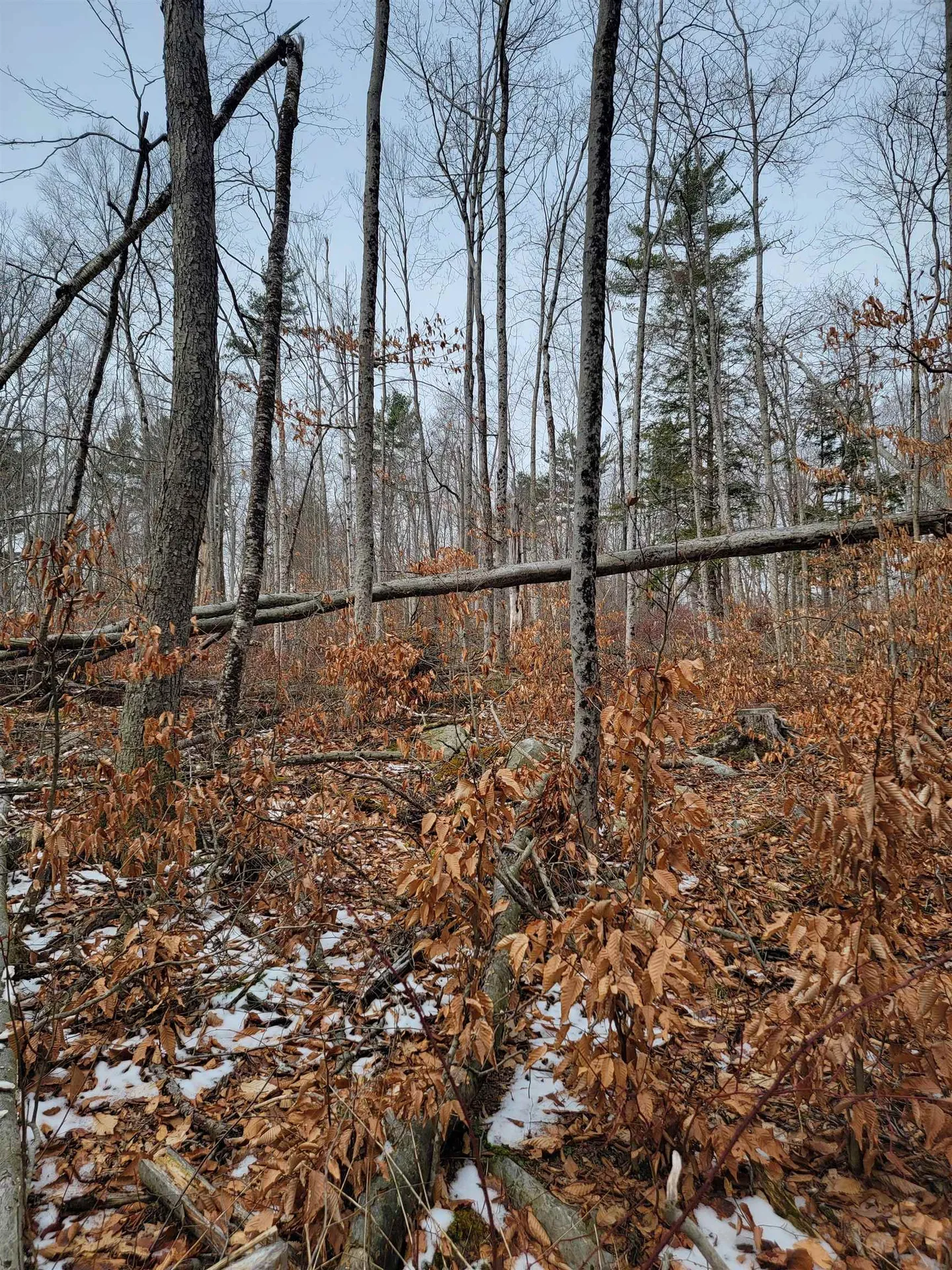 80 Crossover Road Bennington VT 05201