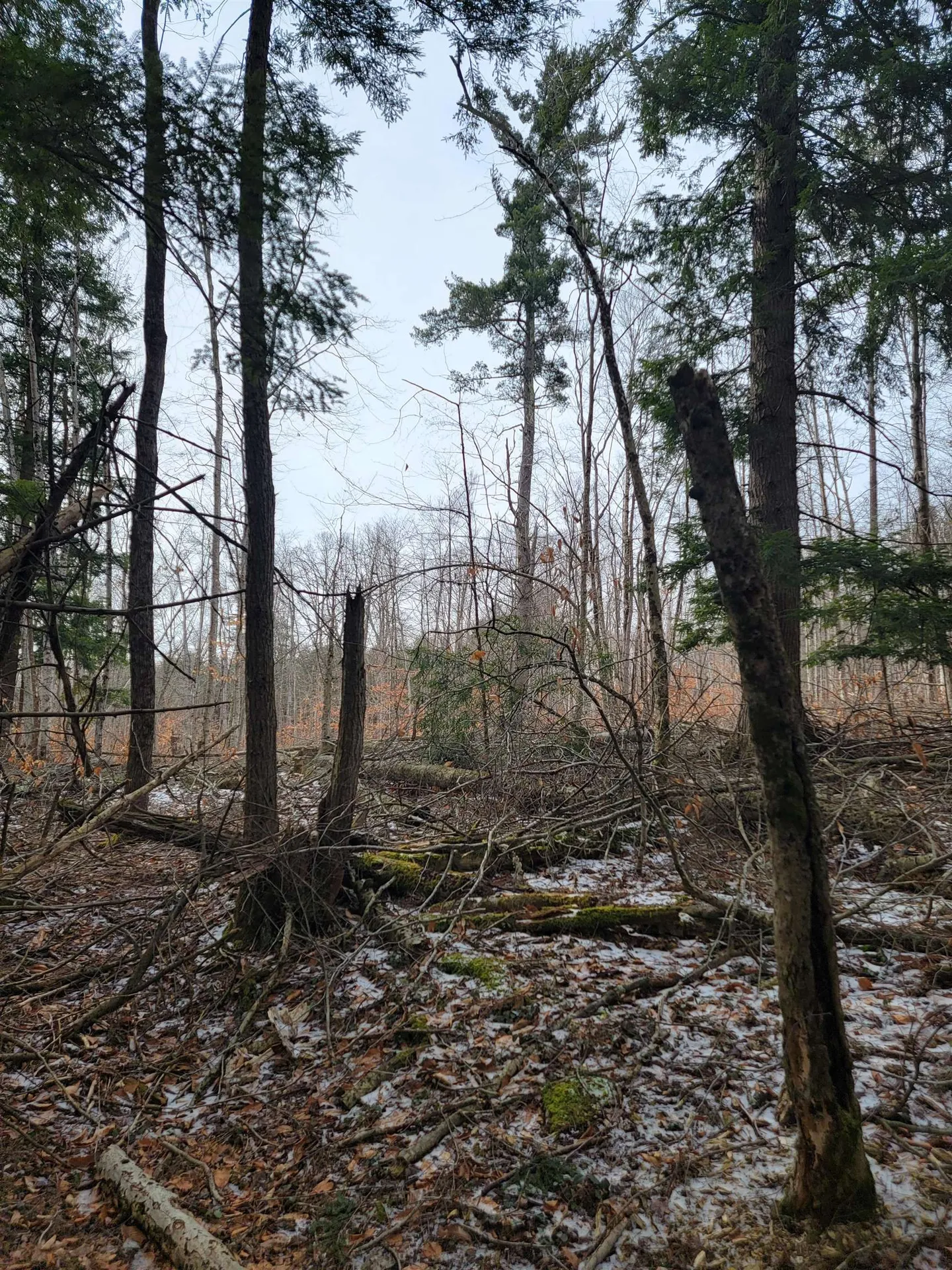 80 Crossover Road Bennington VT 05201