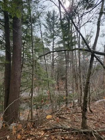 80 Crossover Road Bennington VT 05201