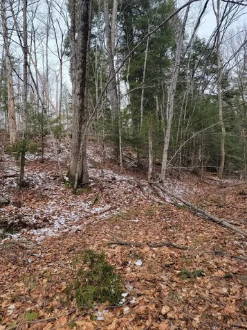 80 Crossover Road Bennington VT 05201