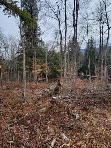 80 Crossover Road Bennington VT 05201