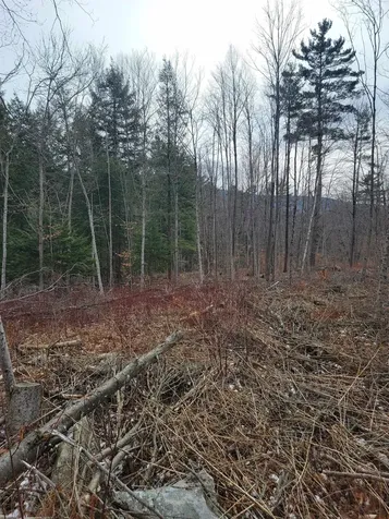 80 Crossover Road Bennington VT 05201