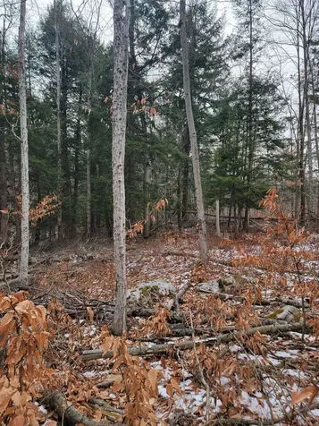 80 Crossover Road Bennington VT 05201