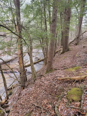 80 Crossover Road Bennington VT 05201