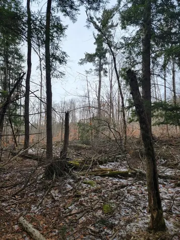 80 Crossover Road Bennington VT 05201