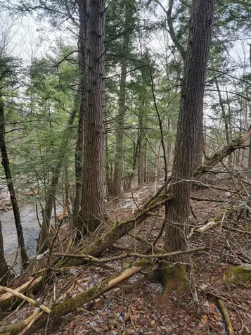 80 Crossover Road Bennington VT 05201