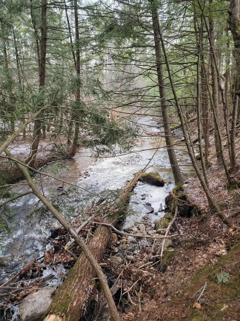 2041 East Road Bennington VT 05201