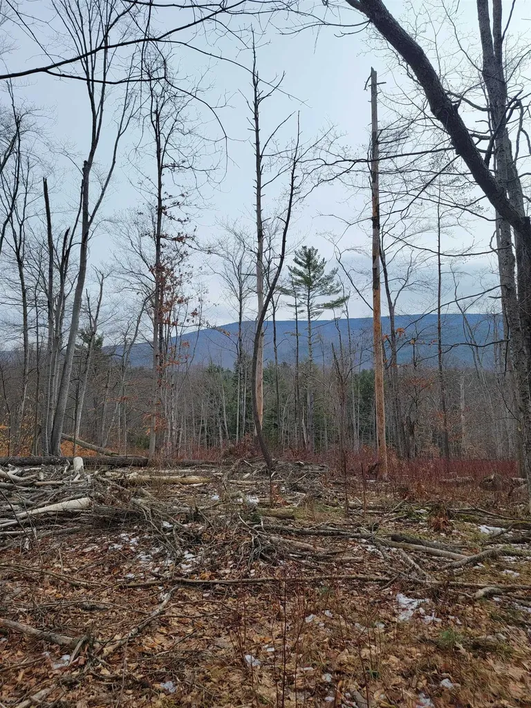 2041 East Road Bennington VT 05201