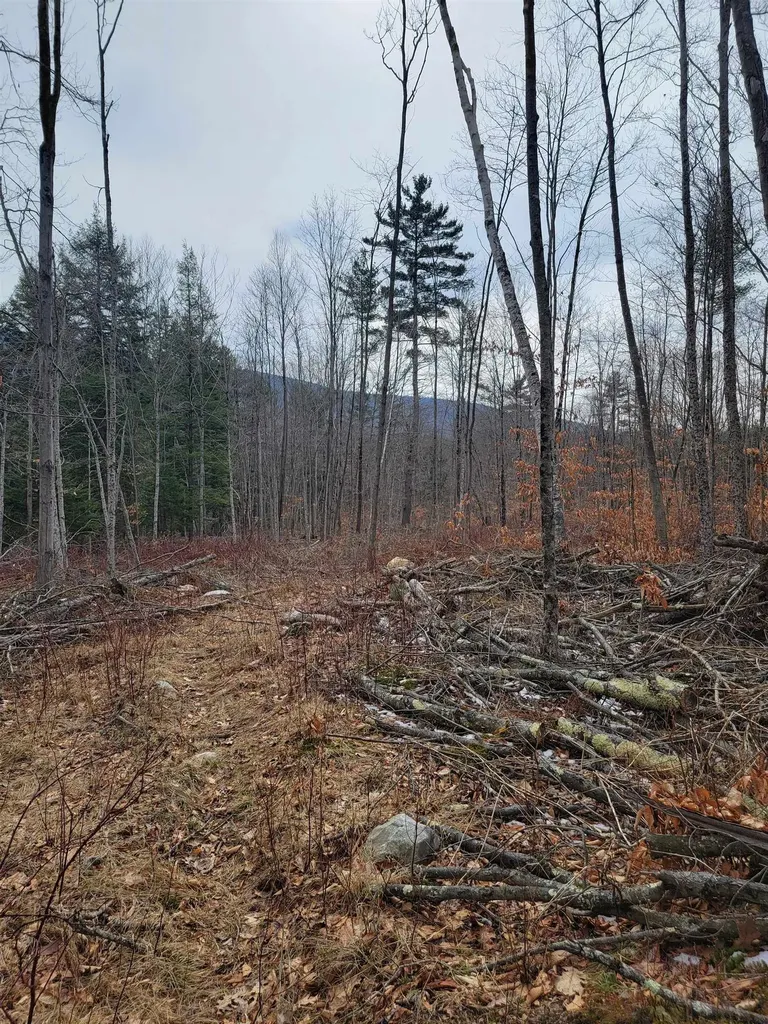 2041 East Road Bennington VT 05201