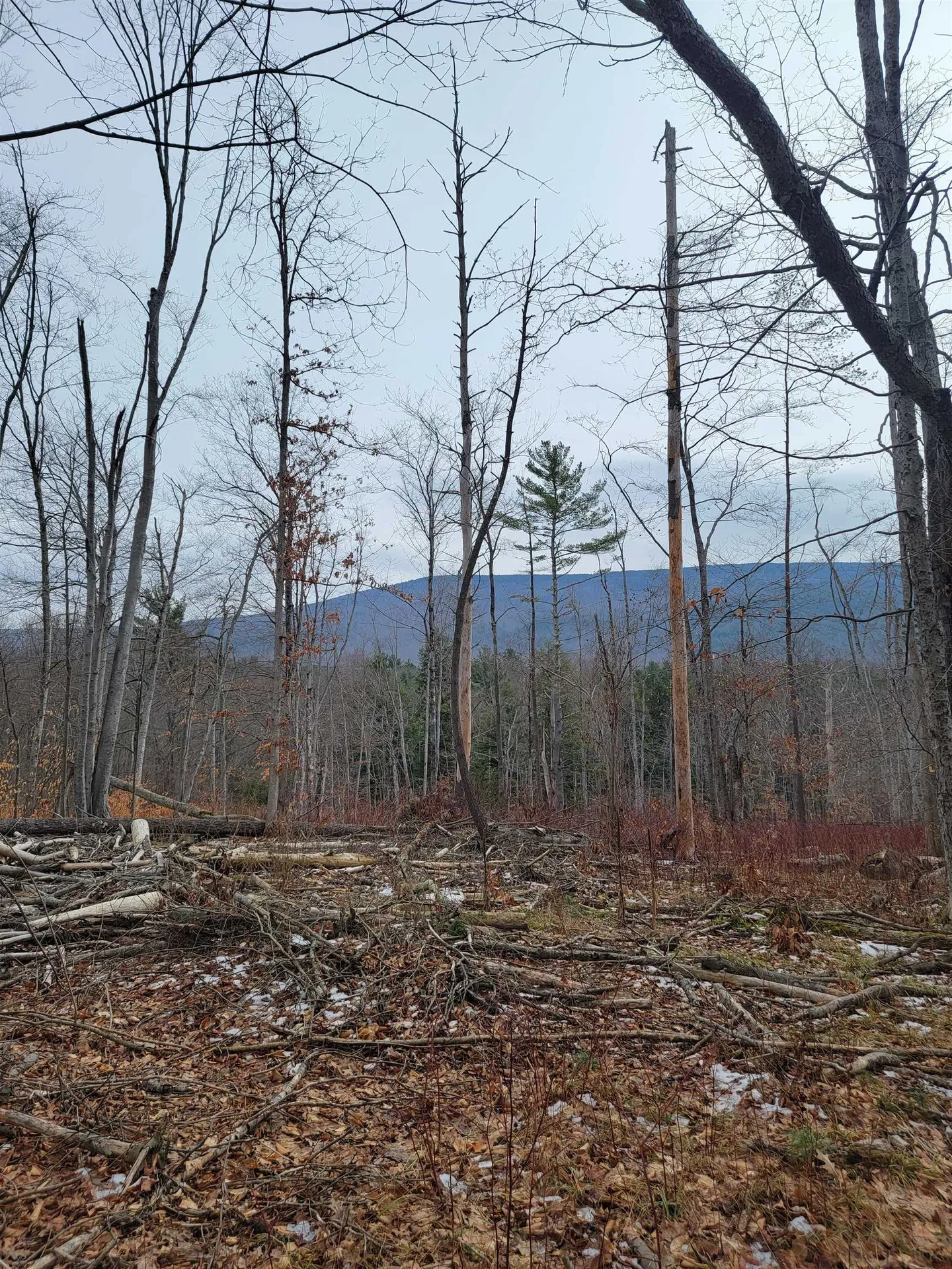 2041 East Road Bennington VT 05201