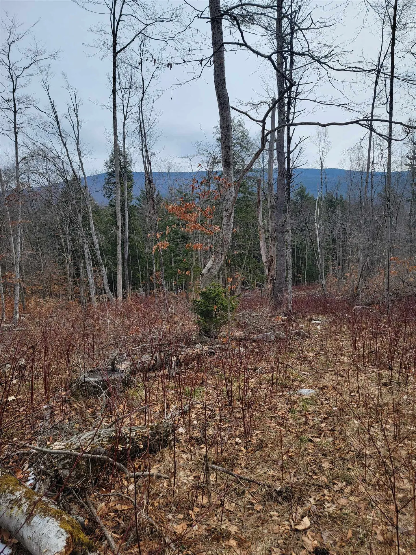 2041 East Road Bennington VT 05201