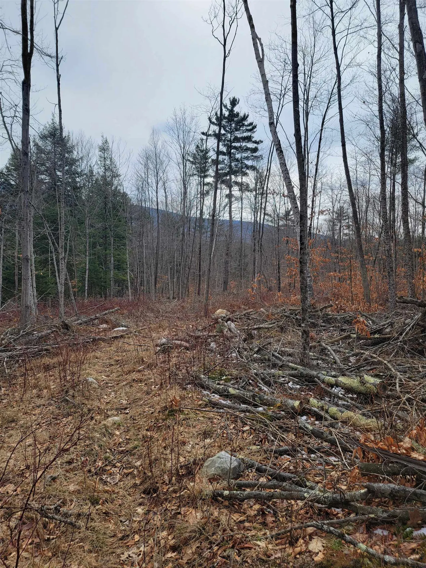 2041 East Road Bennington VT 05201