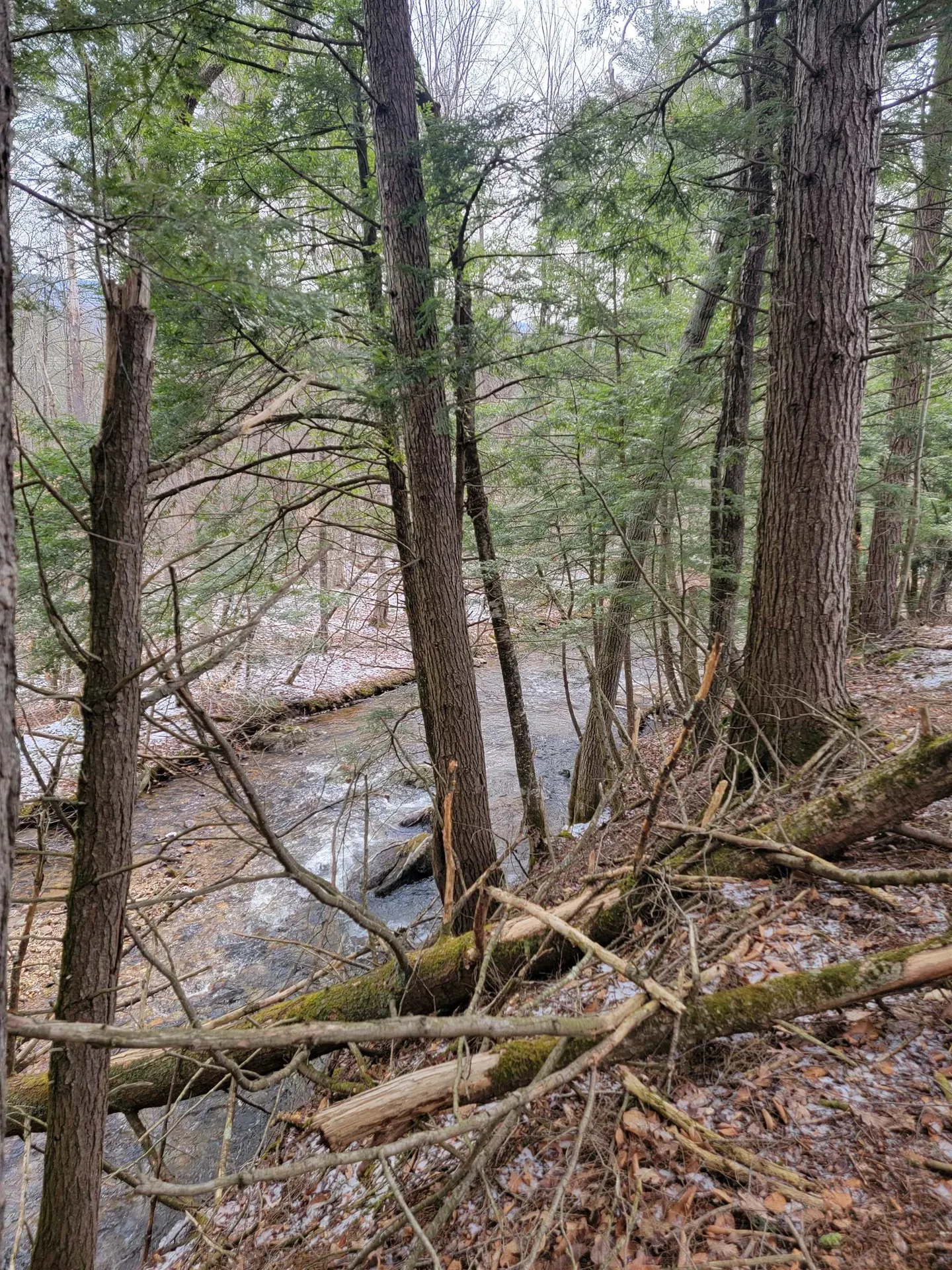 2041 East Road Bennington VT 05201