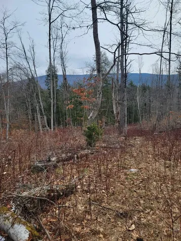 2041 East Road Bennington VT 05201