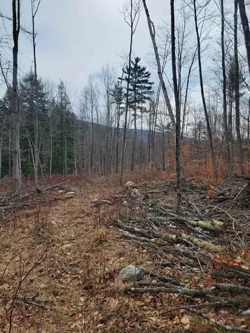 2041 East Road Bennington VT 05201