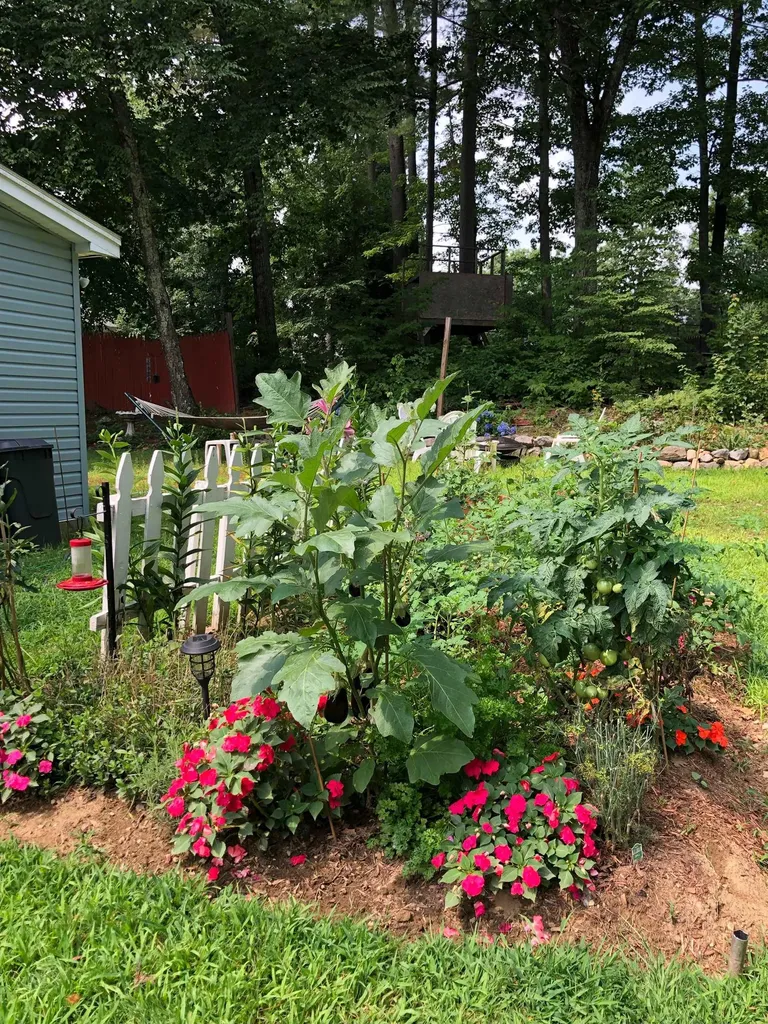 5 Glenwood Lane Northwood NH 03261