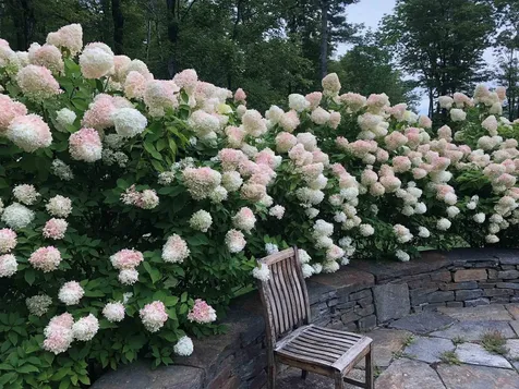 5893 Stage Road Barnard VT 05031