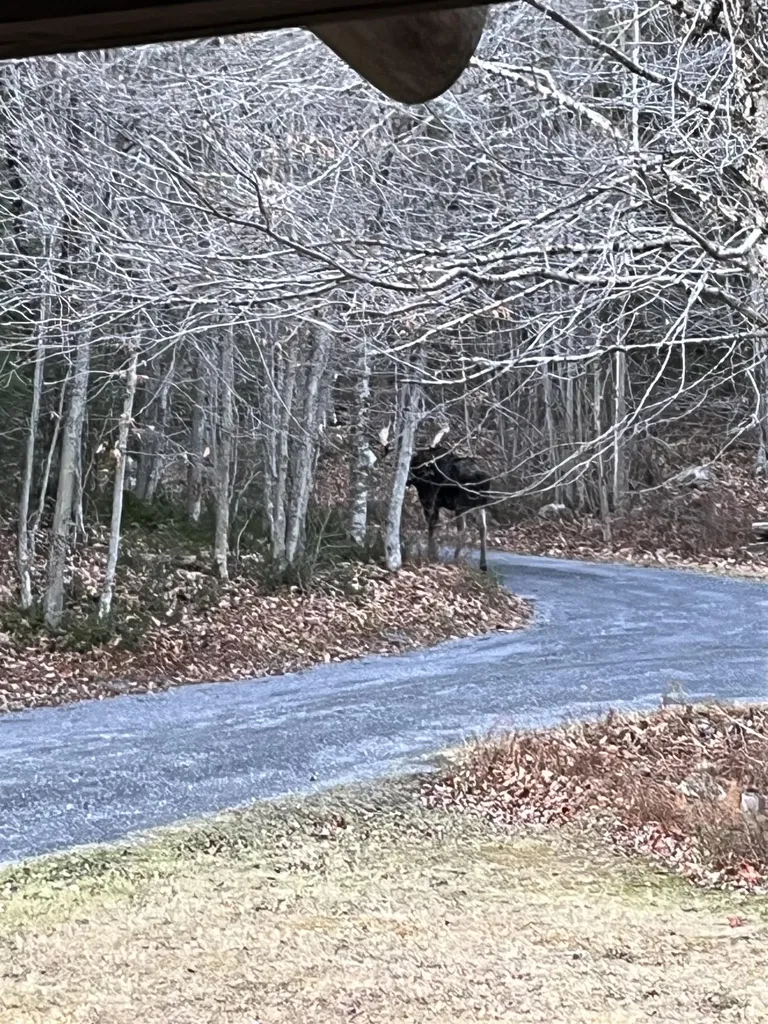 601 Lempster Street Lempster NH 03605