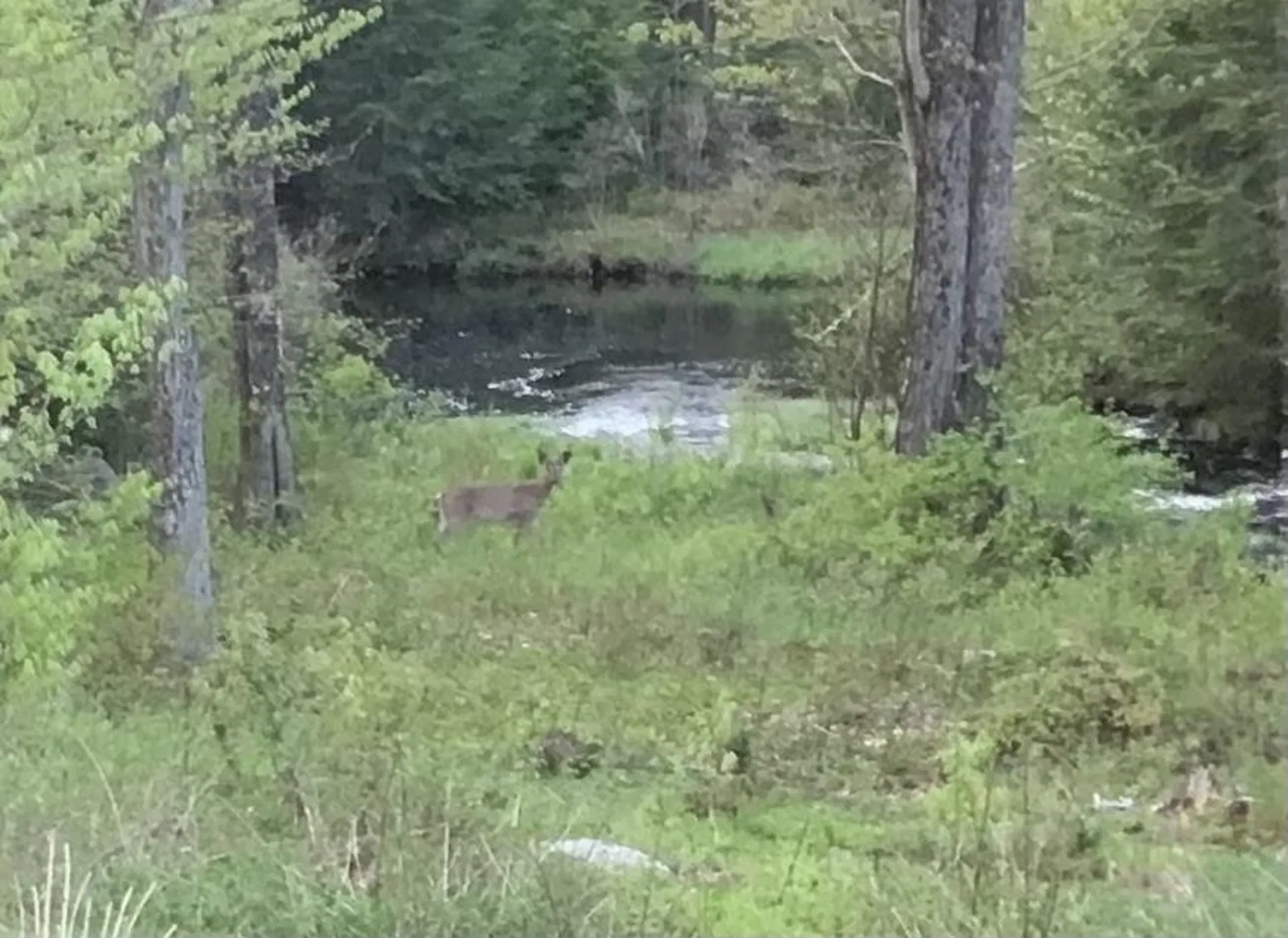 601 Lempster Street Lempster NH 03605