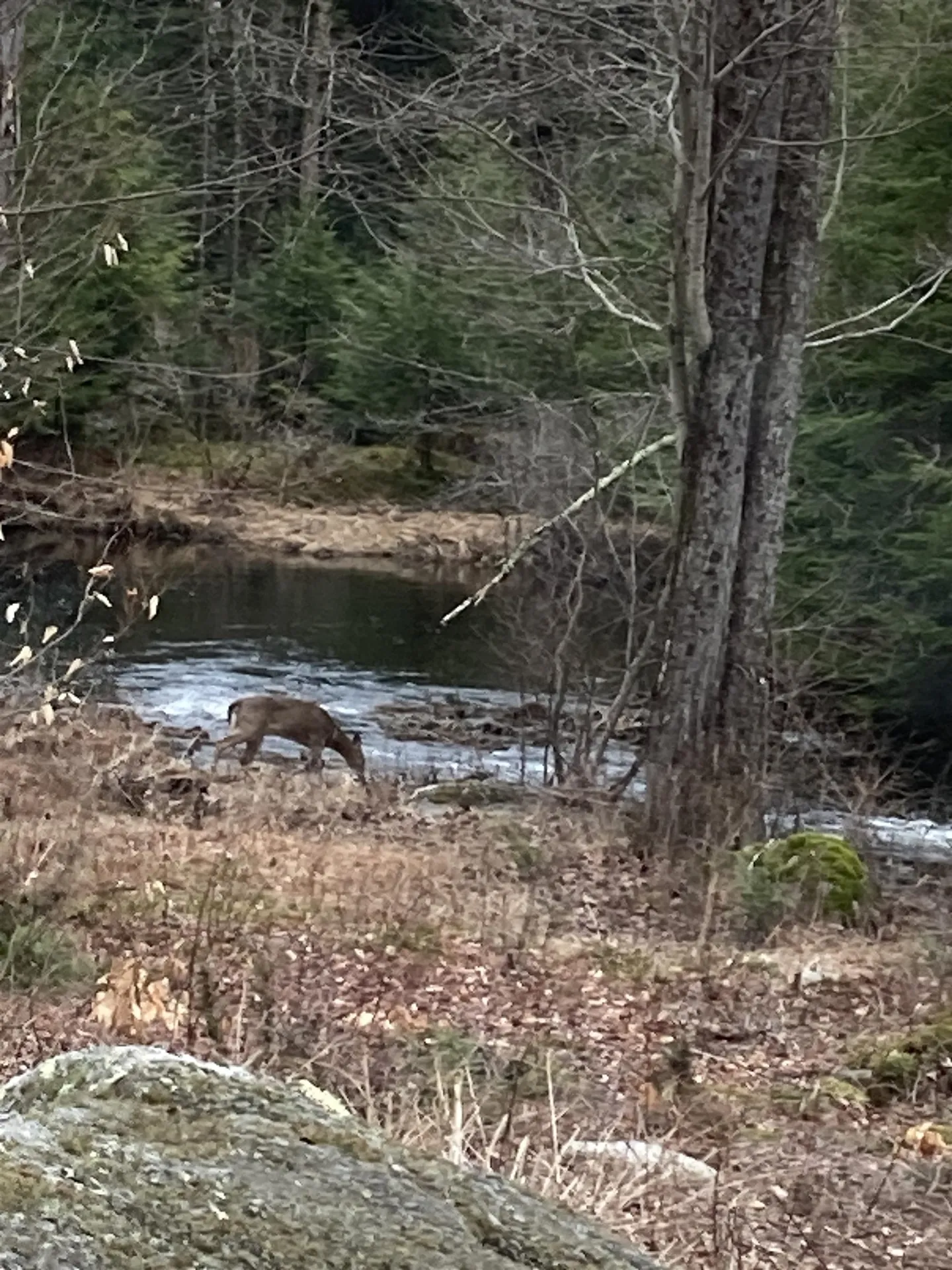 601 Lempster Street Lempster NH 03605