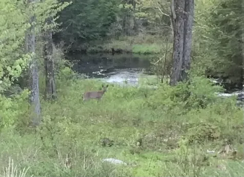 601 Lempster Street Lempster NH 03605