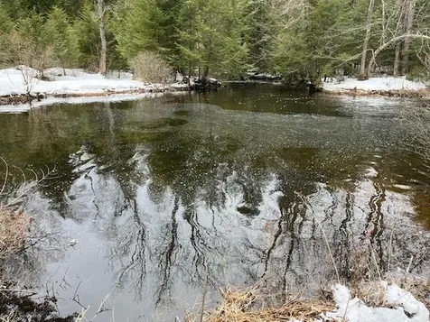 601 Lempster Street Lempster NH 03605