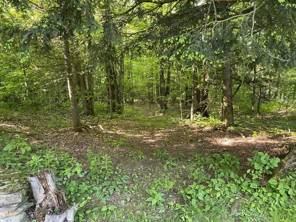 1149 Hill Road Fairfield VT 05455