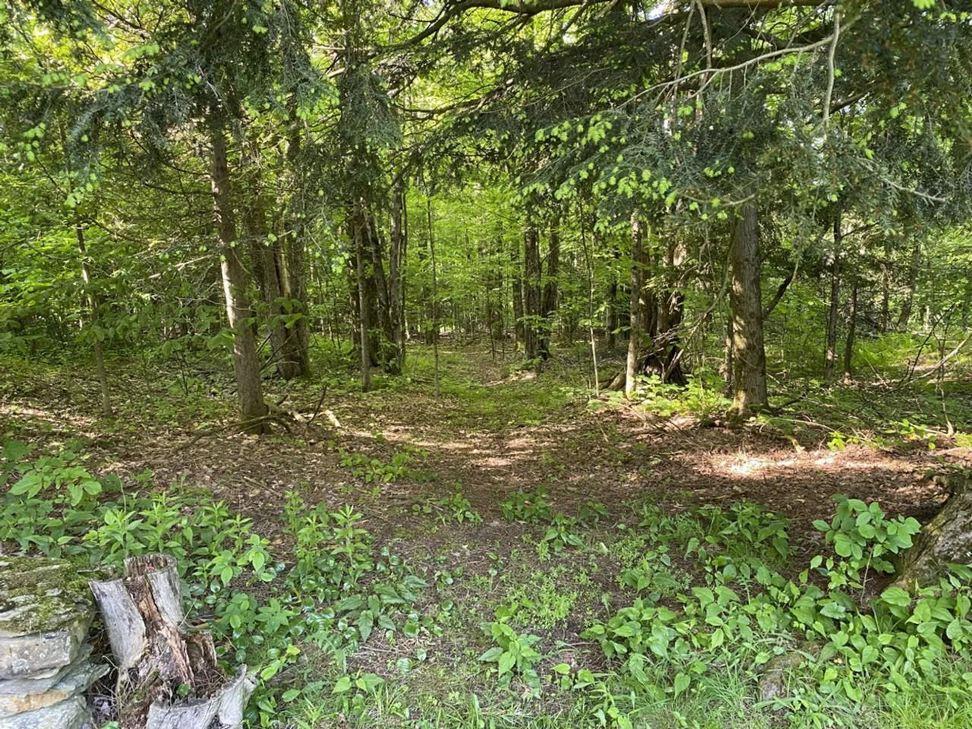 1149 Hill Road Fairfield VT 05455