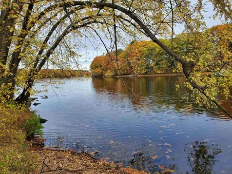 16 Walden Pond Drive Nashua NH 03064