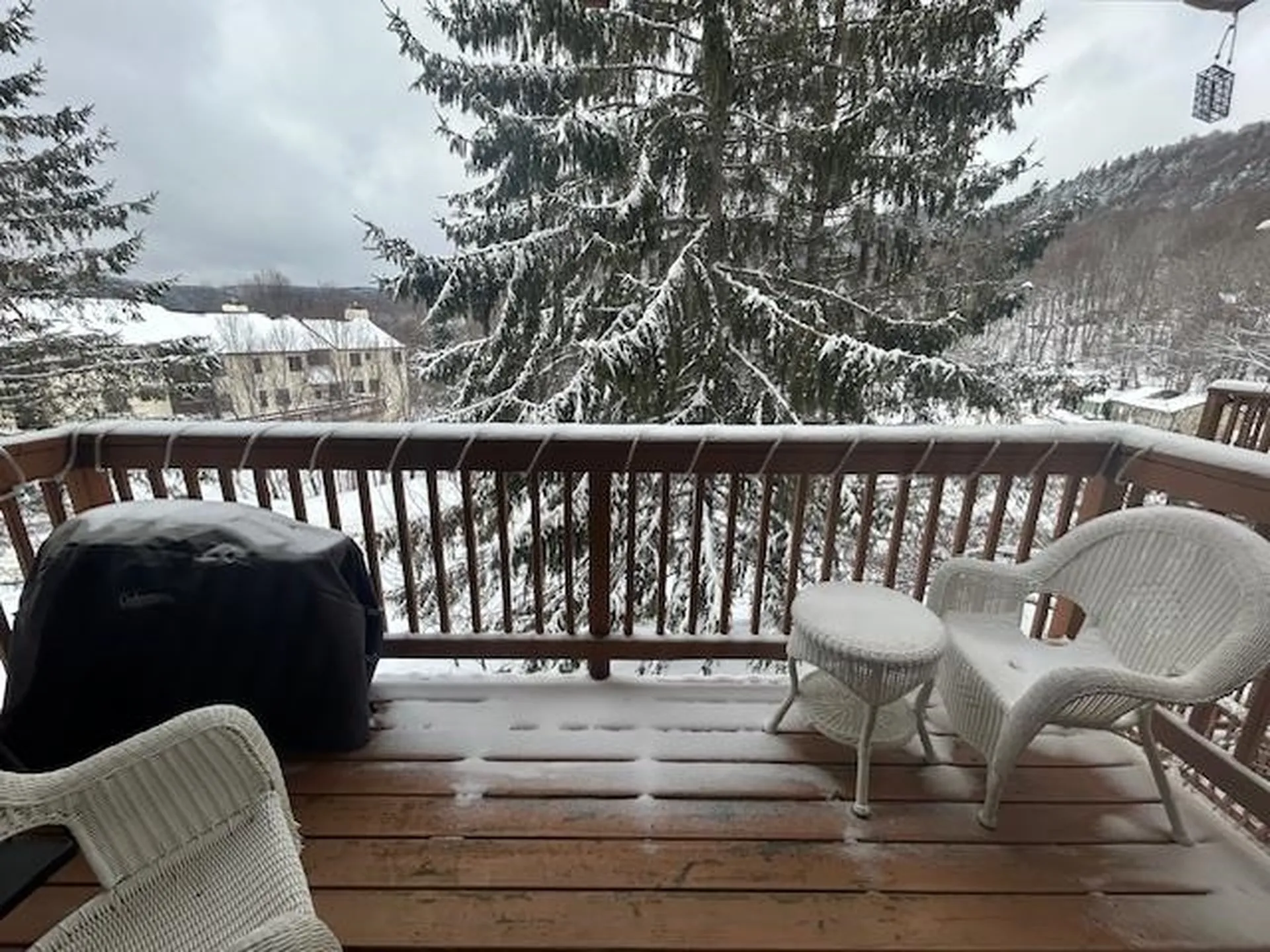 43 Ardec Lane Bolton VT 05477