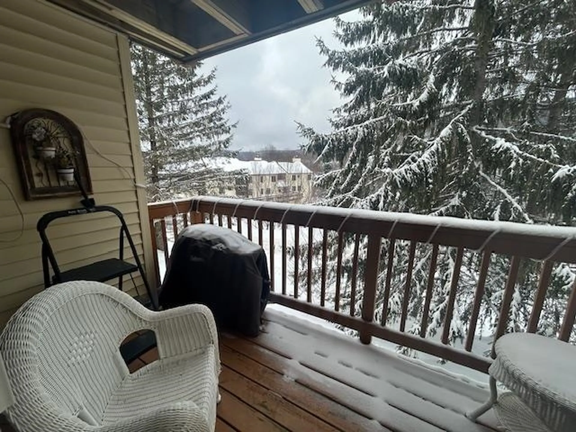 43 Ardec Lane Bolton VT 05477