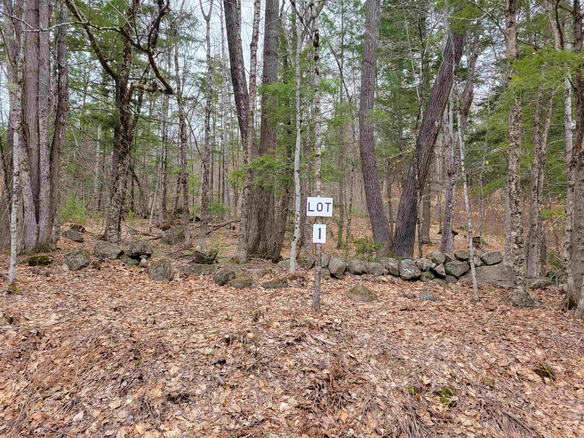 582-1 West Fryeburg Road Fryeburg ME 04037