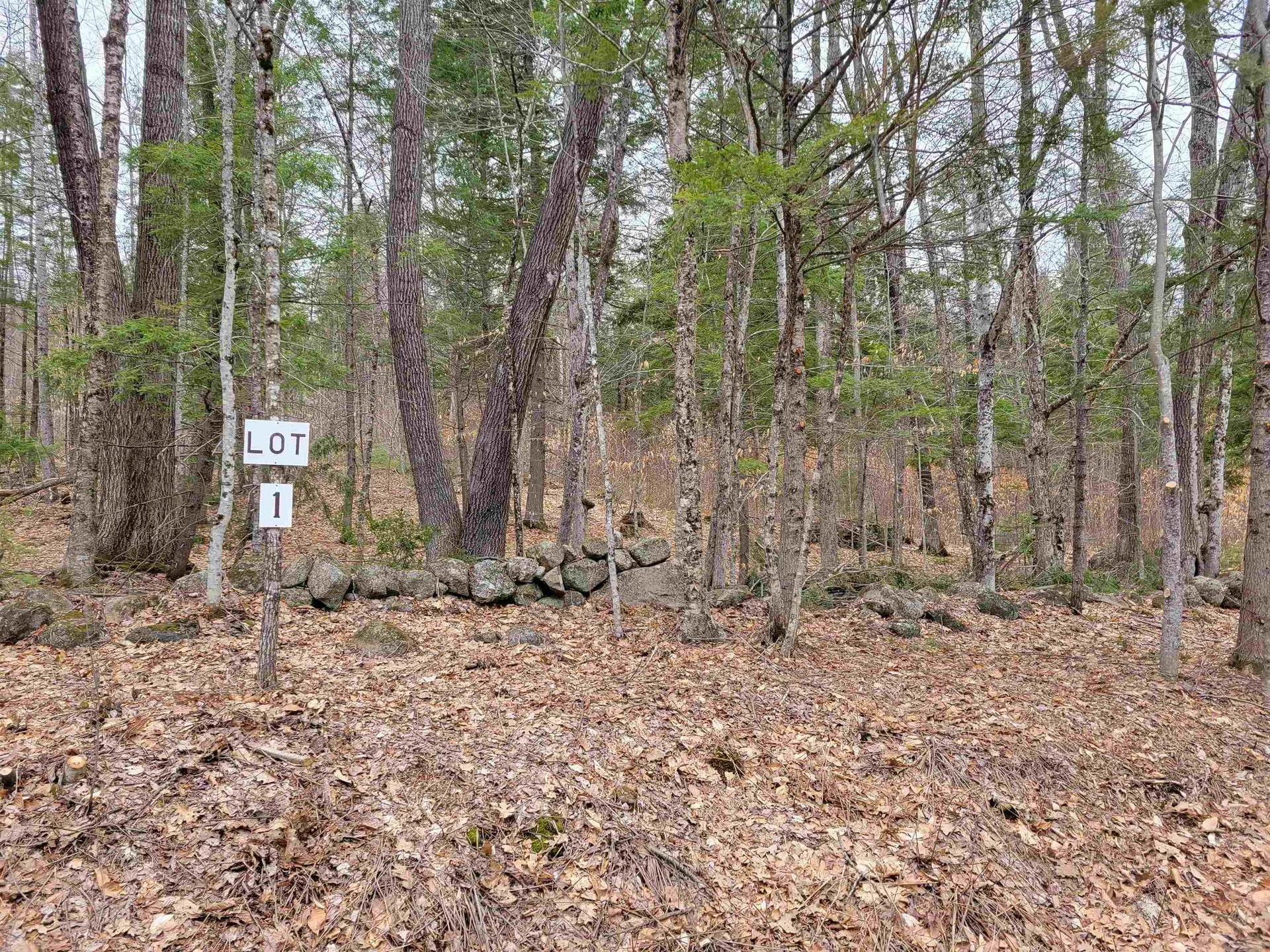 582-1 West Fryeburg Road Fryeburg ME 04037