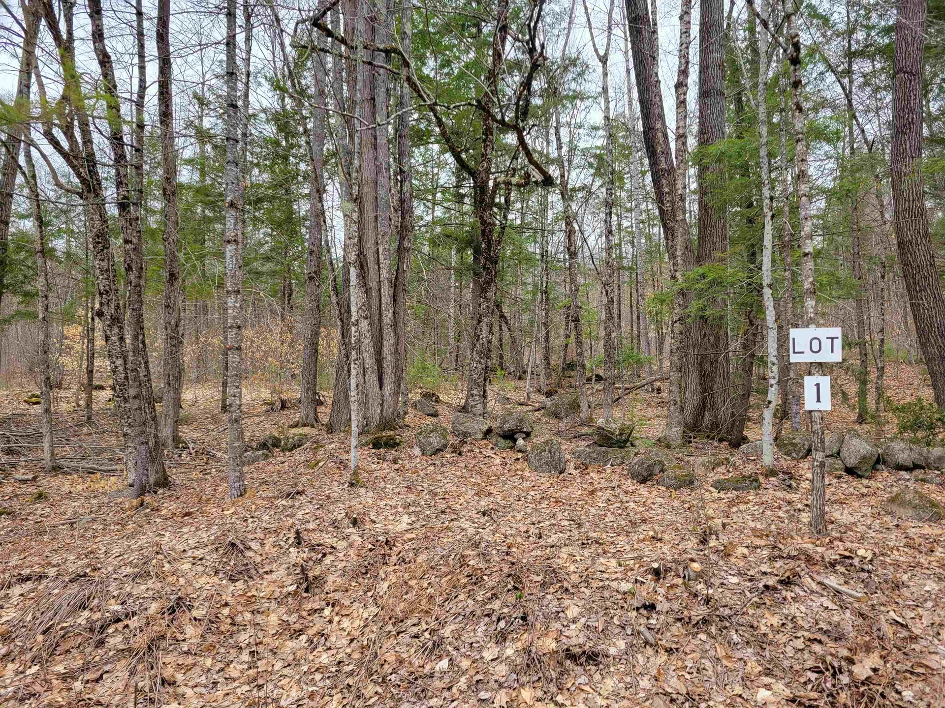 582-1 West Fryeburg Road Fryeburg ME 04037