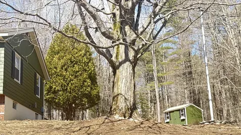 11 Juniper Hill Road Springfield VT 05156