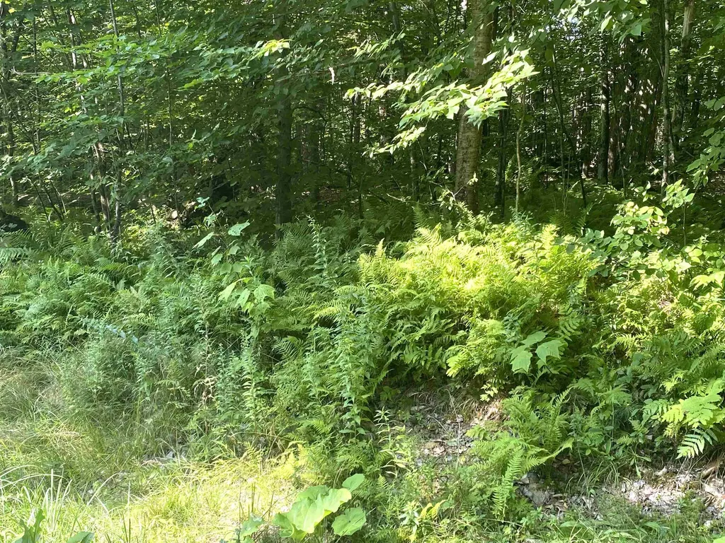 00 North Branch Road Ripton VT 05766