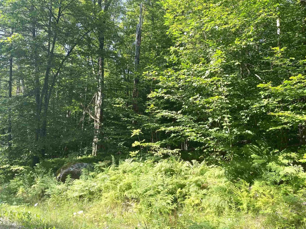 00 North Branch Road Ripton VT 05766