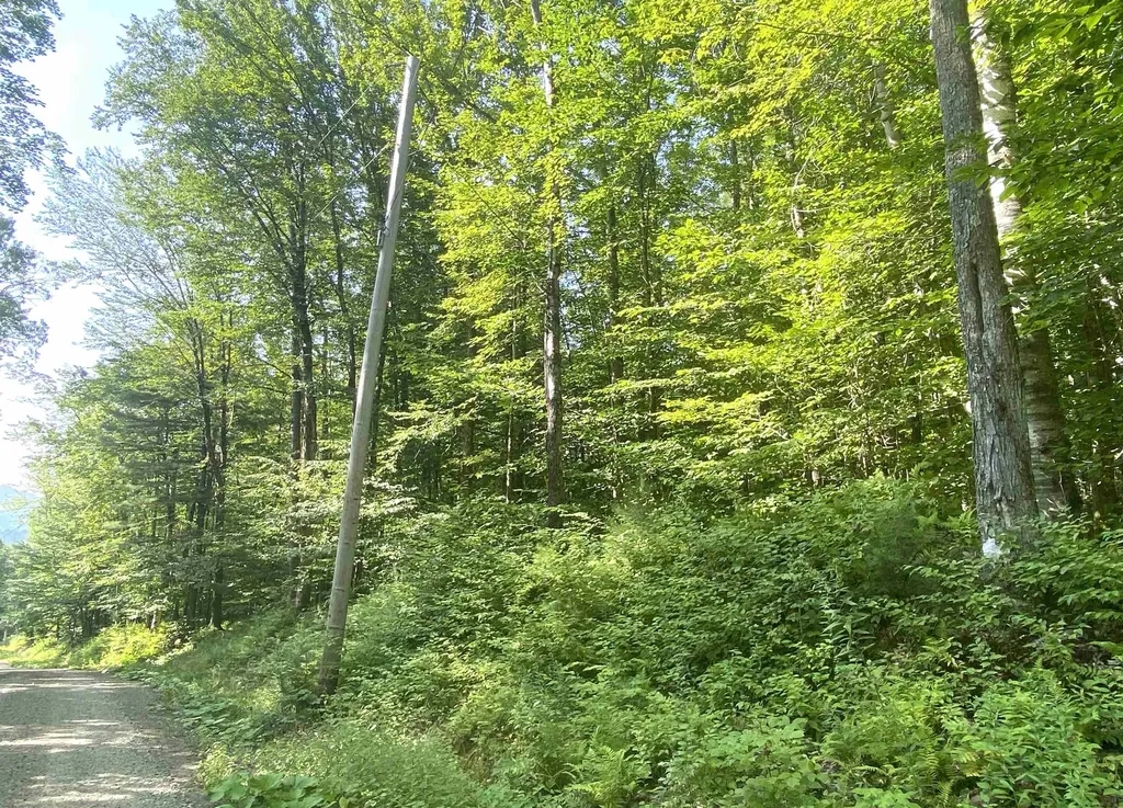 00 North Branch Road Ripton VT 05766